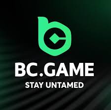 Exploring the Thrills of BC.Game Online Casino