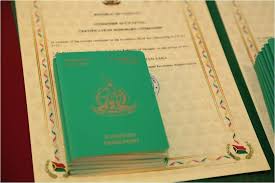 Understanding the Cost of a Vanuatu Passport A Comprehensive Guide 898505674