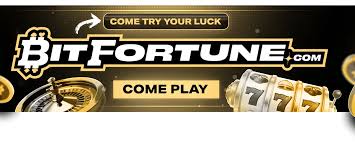 Bitfortune A New Era for Live Casino Fans