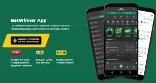 Explore BetWinner Your Ultimate Online Gambling Destination